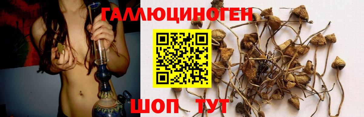 Губкин  Галлюциногенные грибы ЛСД  Вход с VPN  Галлюциногенные грибы Magic Shrooms 
